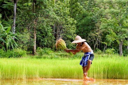 Tropisch onthaal in Maleisië en Borneo