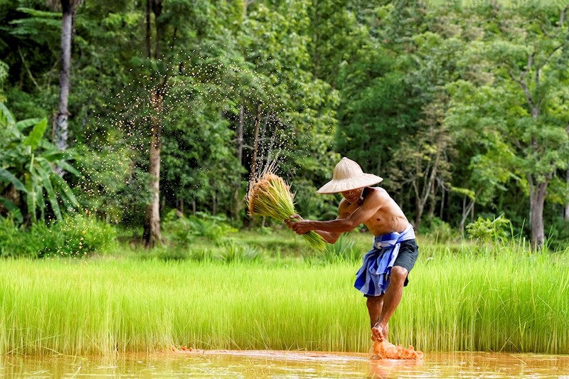 Tropisch onthaal in Maleisië en Borneo Tropisch onthaal in Maleisië en Borneo