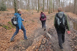 Challenge parcours en wandelen in de Ardennen
