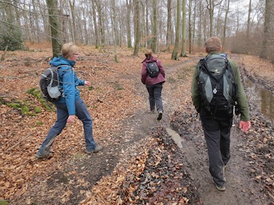 Challenge parcours en wandelen in de Ardennen