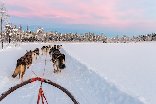 Magische rondreis in Zweeds Lapland