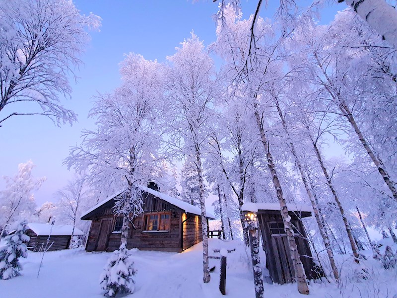 Natuurpracht in Finland en Lapland