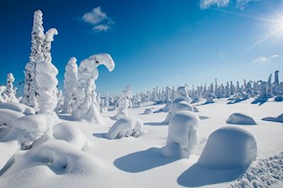 Natuurpracht in Finland en Lapland