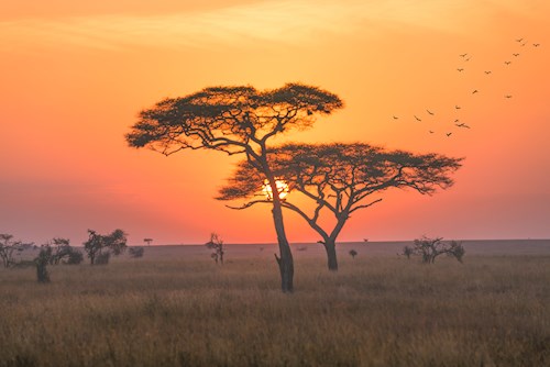 Tanzania & Zanzibar Tanzania & Zanzibar