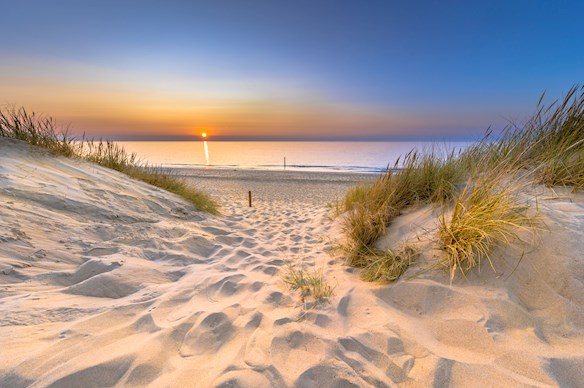 Nieuwe najaarsreizen online! Nieuwe najaarsreizen online!