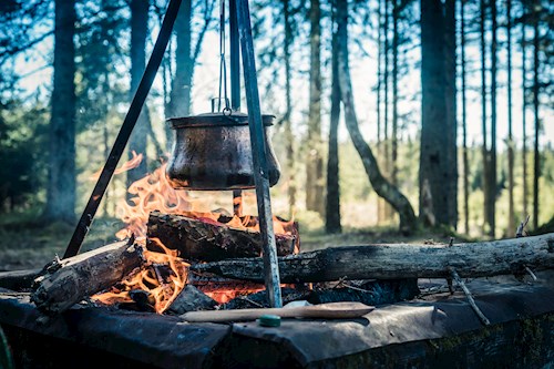 Helsinki en Finse natuur