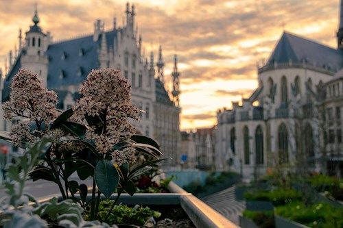 Kamping KrisKras: citymix en creativiteit