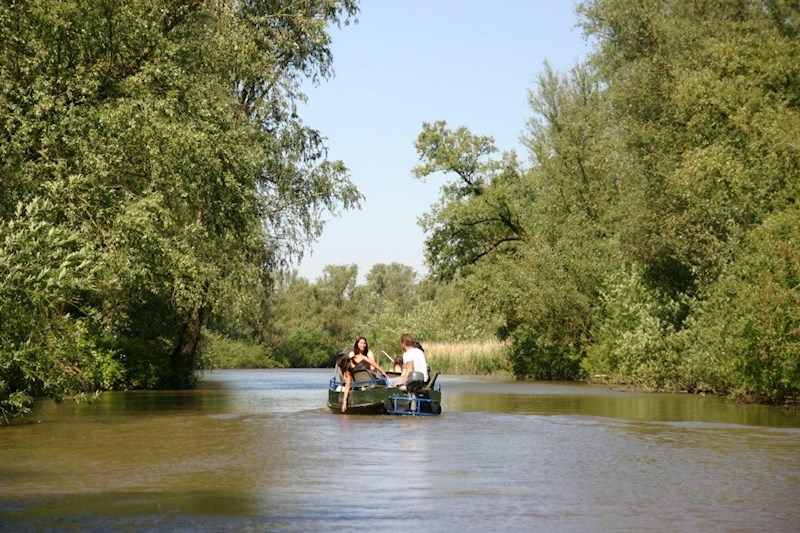 Op verkenning in natuurgebied De Biesbosch