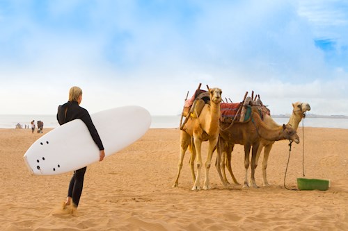 Zen en surfen in Zuid-Marokko