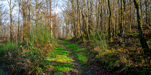 Ontspannend winterwandelweekend in de Ardennen