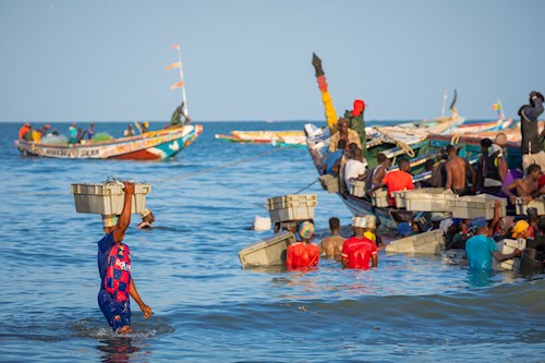 Gambia