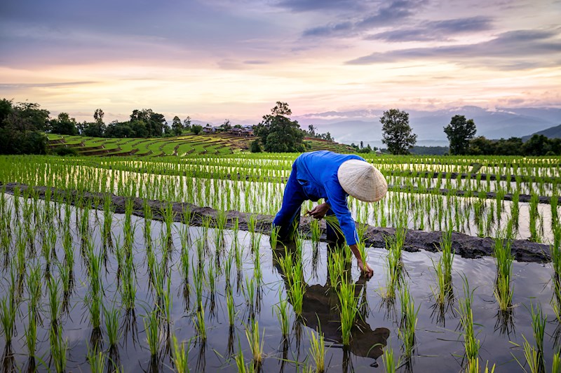 Vietnam avontuur