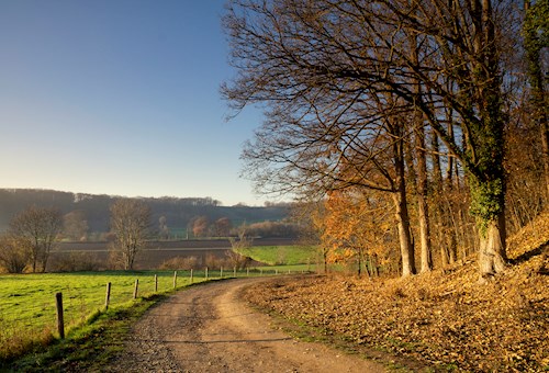 Heerlijk Heuvelland